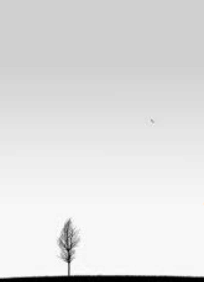 Screenshot_20240528_200937.jpg