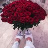 *Lady*